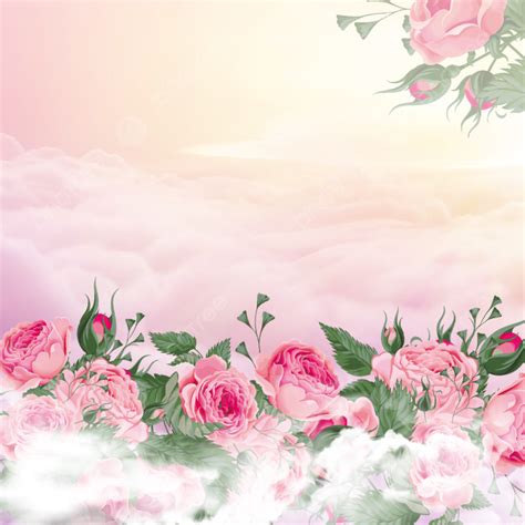 Flower White Clouds Pink Rose Bouquet Buds Pink Background Material ...