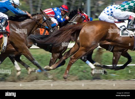 Hollywood Park California horse racing Stock Photo - Alamy