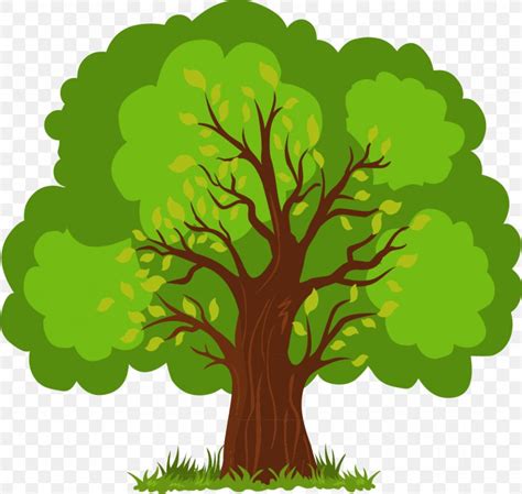 Euclidean Vector Tree, PNG, 1108x1051px, Tree, Branch, Cartoon, Dwg, Grass Download Free