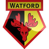 Free download | HD PNG watford fc logo png png - Free PNG Images | TOPpng