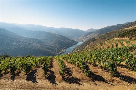 Douro Valley Travel Guide - Portugal.com