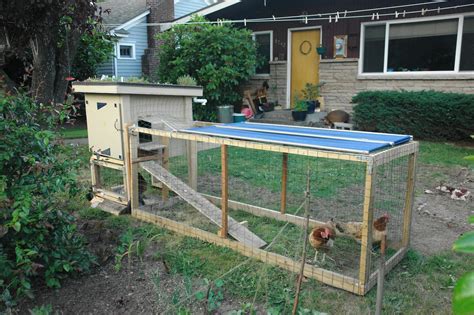 Raising Chickens At Home – The Quick n' Dirty Guide - Doomsday News : Doomsday News