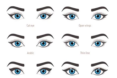 Types of woman eyes. Eye shapes., an Illustration by Cheremuha ...