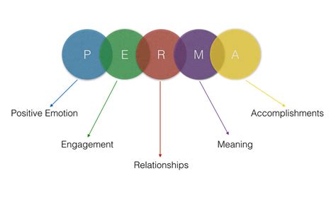 Perma Model di Martin Seligman: Psicologia positiva - IEPP