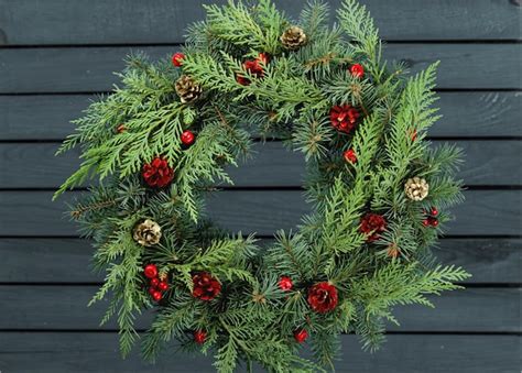 Premium Photo | Christmas wreath made of fir tree and cones isolated on ...