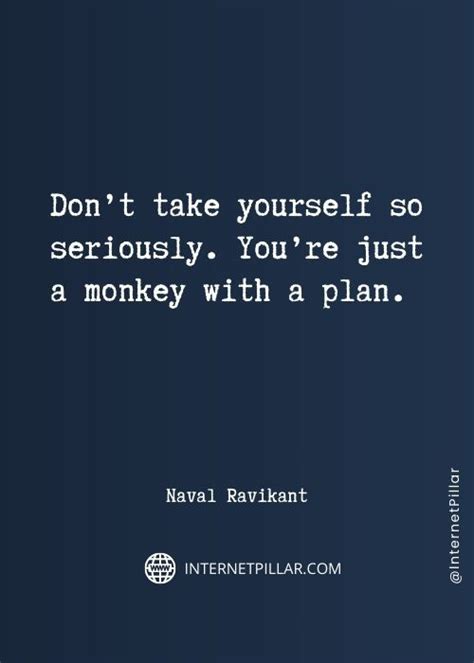 53 Monkey Quotes, Sayings and Phrases You Can Relate To