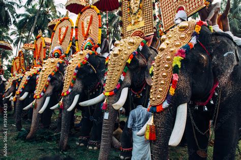 Kerala Elephant Festival Wallpapers