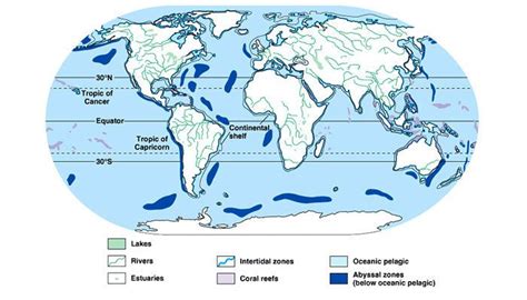 Aquatic Biomes of the World - the pelagic zone is open water which is neither coastal nor near ...