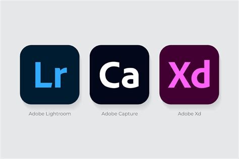 Adobe Lightroom, Adobe Capture and Adobe Xd logos 18994771 Vector Art ...