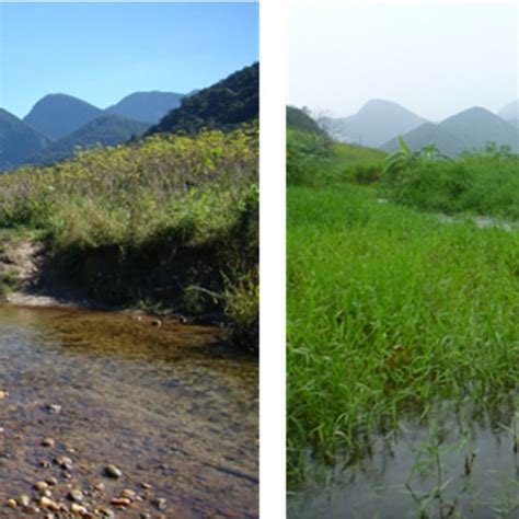 4: Differences between the dry season in July 2010 (left) and the wet... | Download Scientific ...