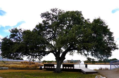 Brushy Creek Lake Park