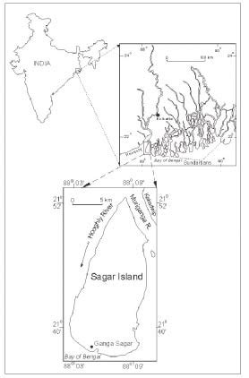 Location Map of the Sagar Island | Download Scientific Diagram