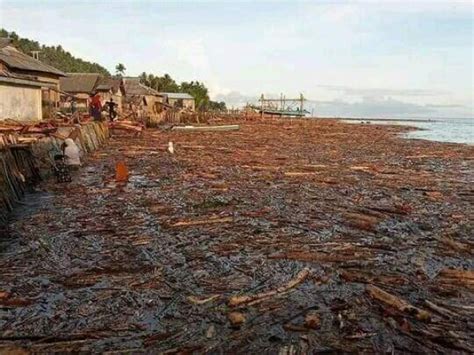 Limbah PT. Harita Nickel Diduga Cemari Laut Pulau Obi - Indotimur