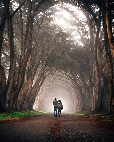 Cypress Tree Tunnel, Point Reyes, US (@idkpdx) Cypress Tree Tunnel ...