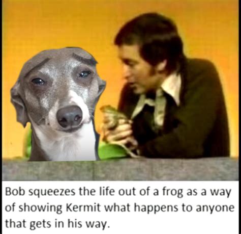 Kermit The Dog Meme