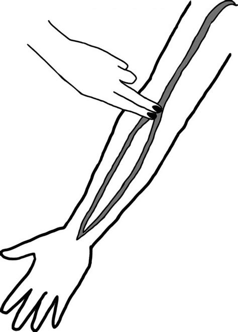 Brachial Pulse: Location, Vital Sign Measurement, Clinical Points ...