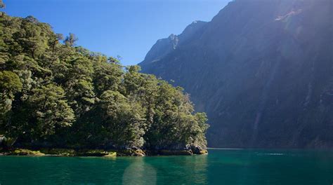 Fiordland National Park Travel Guide 2024: The Best of Fiordland ...