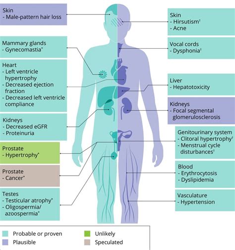 An overview of side effects that can be caused by AAS use ...