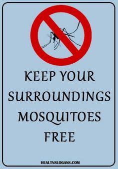 7 Mosquitoes Slogans ideas | slogan, mosquito, malaria