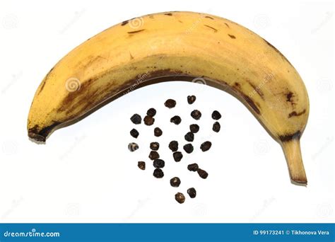 Seeds of banana and banana stock image. Image of seeds - 99173241