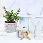 Buy/Send Zen Garden Gift Set Online- FNP