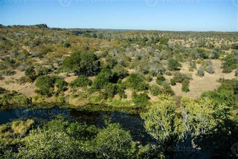 African savannah landscape 26213019 Stock Photo at Vecteezy