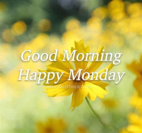 Yellow Flower Petals: Good Morning Happy Monday Pictures, Photos, and Images for Facebook ...