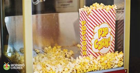 6 Best Popcorn Popper Reviews: Enjoy Delicious Homemade Popcorn