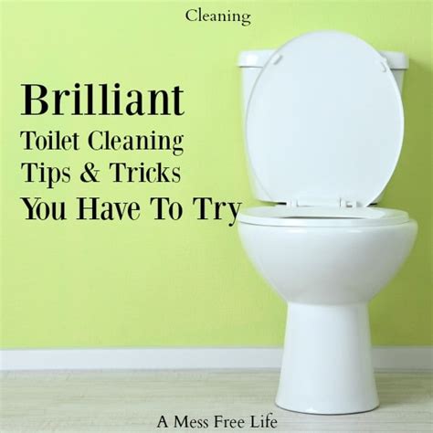 Brilliant Toilet Cleaning Tips and Tricks - A Mess Free Life