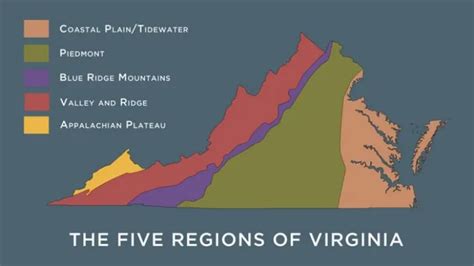 The Regions of Virginia | Virginia Museum of History & Culture