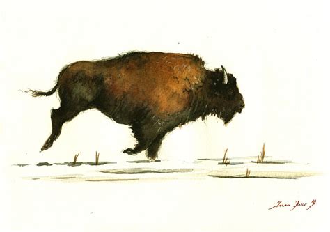 Running buffalo Painting by Juan Bosco - Pixels