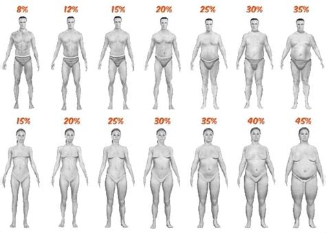 The Complete Guide To Body Fat Percentage Charts