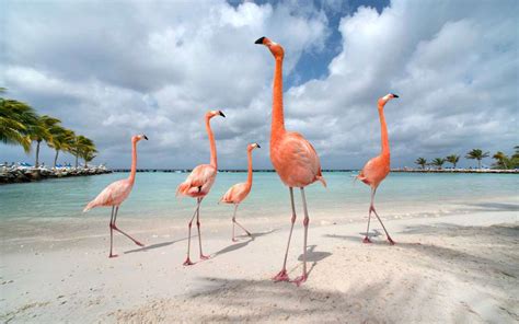 10 Islands Filled With Adorable Animals You Can Visit