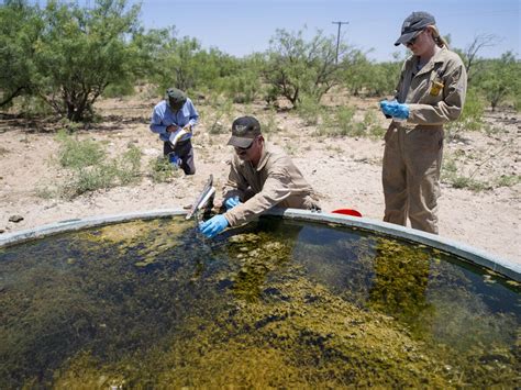 How Last Century’s Oil Wells Are Messing With Texas - Bloomberg