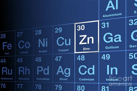 Zinc on periodic table of the elements, with element symbol Zn Digital ...