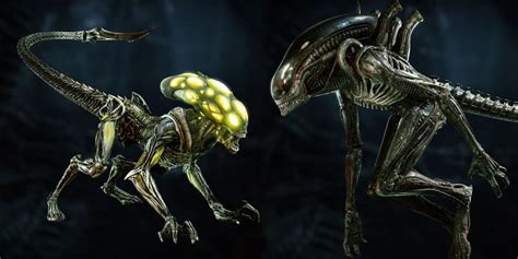 Aliens: Fireteam's Xenomorph Enemy Types & Designs Shown By Developer