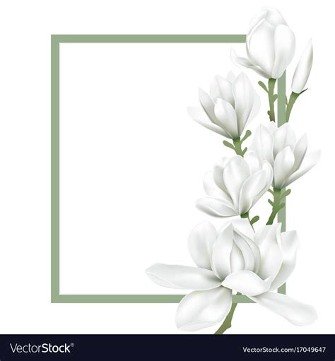 Frame with white flower Royalty Free Vector Image