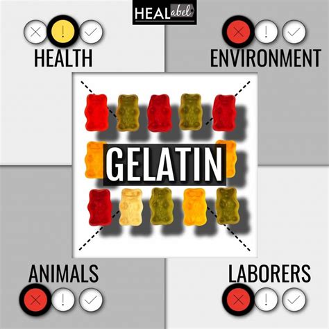 Gelatin Side Effects + Benefits