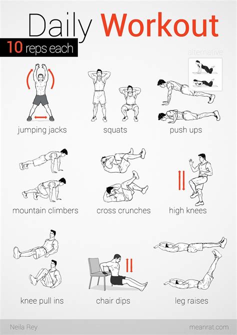 No equipment easy workout | Easy daily workouts, Daily workout, Bodyweight workout