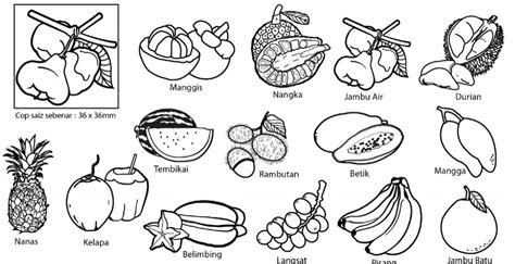 Jenis Jenis Buah Buahan Tempatan Drawing Easy Cat - IMAGESEE