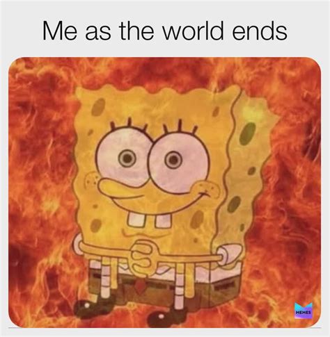 Me as the world is ending.. : r/memes