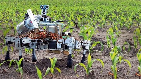 Agricultural Robots and Mechatronics Market is expected to witness ...