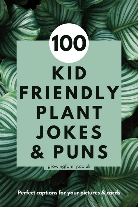 115 Plant puns and plant jokes to leaf you chuckling - Growing Family ...