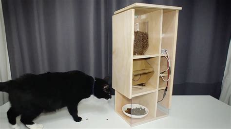 How to make Automatic Cat Feeder - YouTube