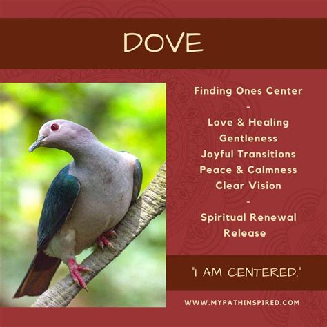 Dove Symbolism | Spirit animal meaning, Spirit animal totem, Animal ...