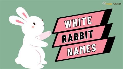 White Rabbit Names [150+ Cute Ideas for Your Bunny]