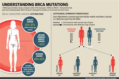 Is cancer genetic? - paperwingrvice.web.fc2.com