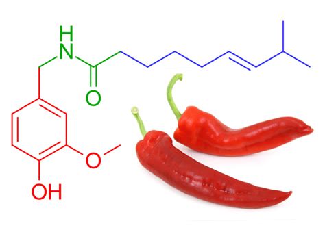 Capsaicin Patch Treatment for Nerve Pain — TampaPainMD