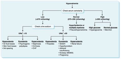 Hyponatremia evaluation algorithm