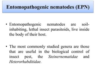 entomopathogenic microbes in the management of insect | PPT